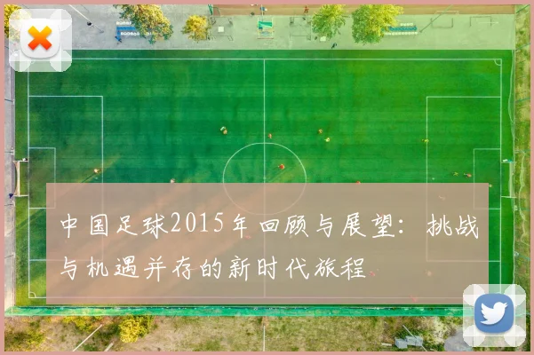 中国足球2015年回顾与展望：挑战与机遇并存的新时代旅程